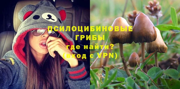 а пвп мука Покачи