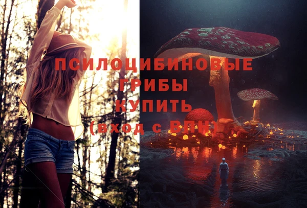 мдма Медногорск